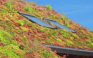 Nether Handley living roof systems